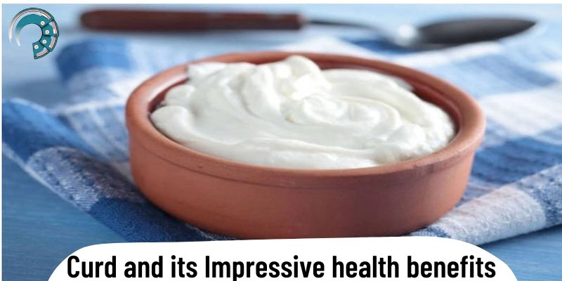 Curd and its Impressive health benefits