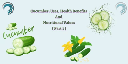 Cucumber: Uses, Health Benefits And Nutritional Values { Part 3 }
