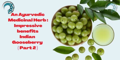 An Ayurvedic Medicinal Herb : Impressive benefits indian Gooseberry { Part 2 }