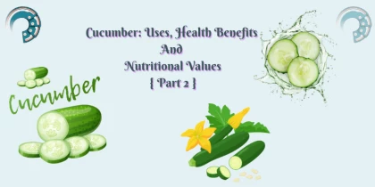 Cucumber: Uses, Health Benefits And Nutritional Values { Part 2 }