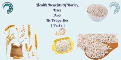 Health Benefits Of Barley, Uses And Its Properties { Part 1 }
