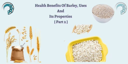 Health Benefits Of Barley, Uses And Its Properties { Part 2 }